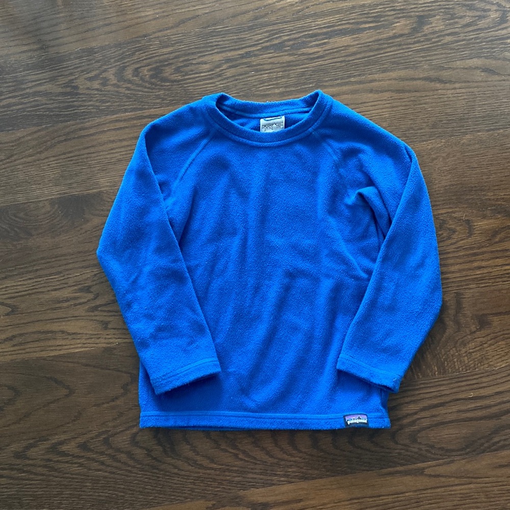 Patagonia Micro D Fleece Crew